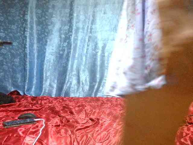 Evalipsievam webcam