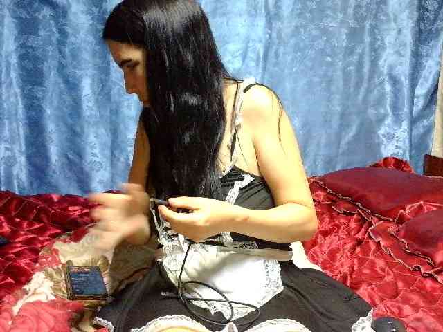 Evalipsievam webcam