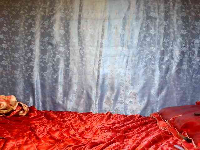 Evalipsievam webcam