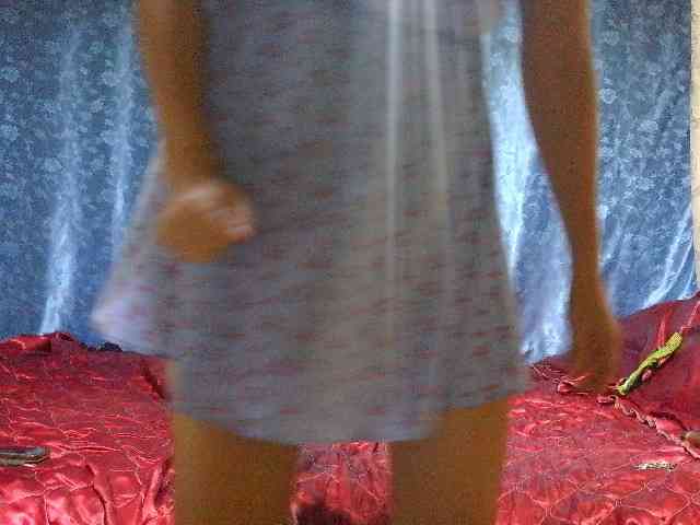 Evalipsievam webcam