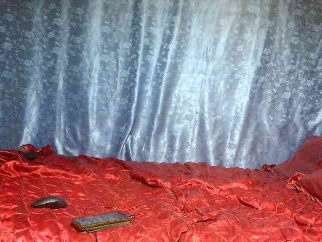 Evalipsievam webcam