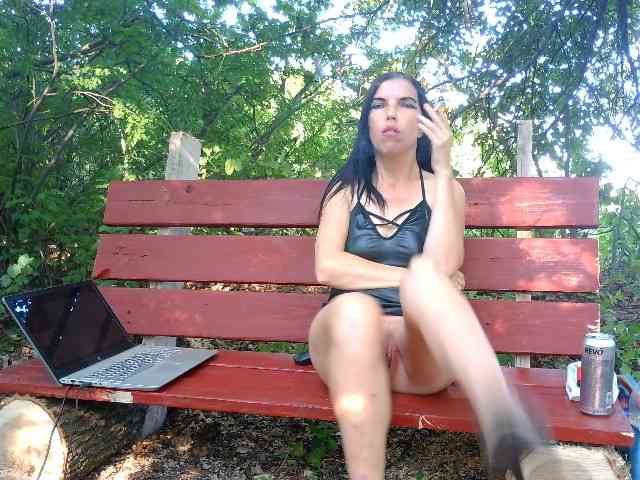Evalipsievam webcam