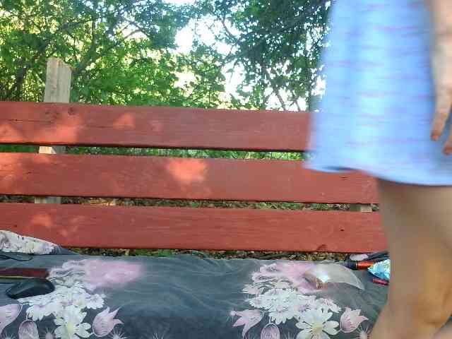 Evalipsievam webcam