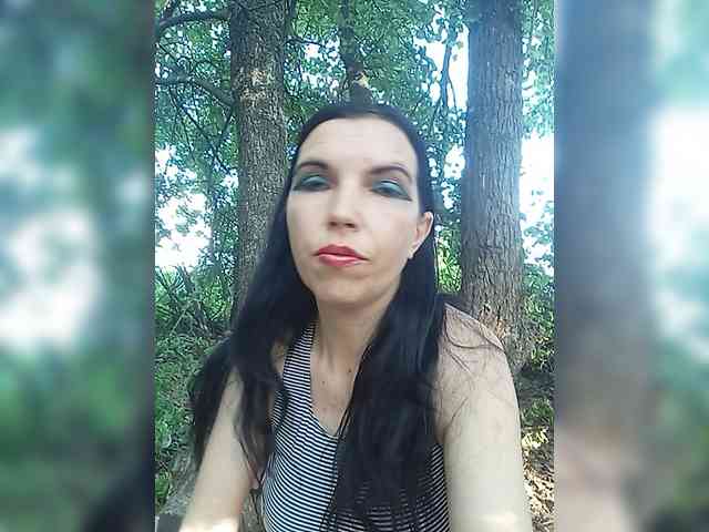 Evalipsievam webcam