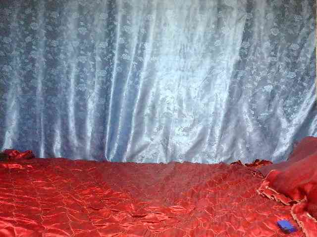 Evalipsievam webcam