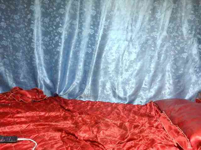 Evalipsievam webcam
