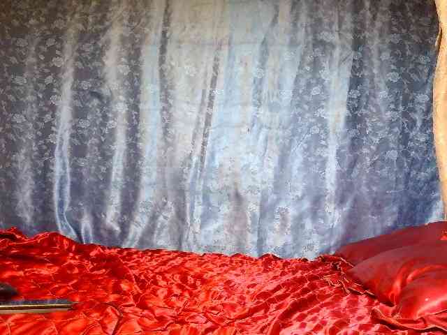 Evalipsievam webcam
