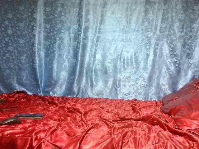 Evalipsievam webcam