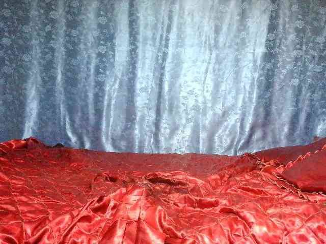 Evalipsievam webcam