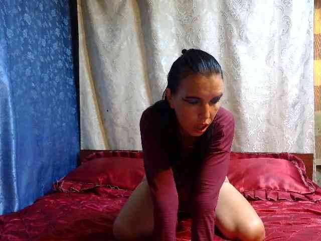 Evalipsievam webcam
