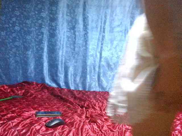 Evalipsievam webcam