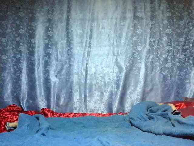 Evalipsievam webcam