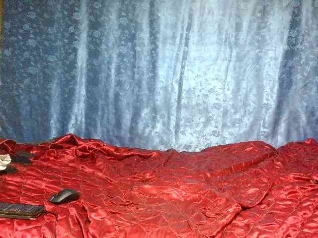 Evalipsievam webcam