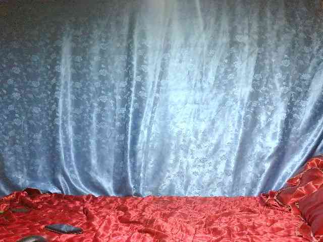 Evalipsievam webcam