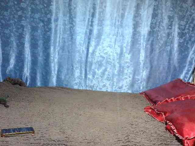 Evalipsievam webcam
