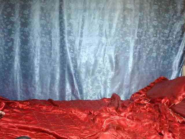 Evalipsievam webcam