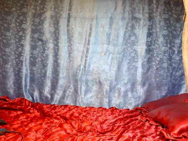 Evalipsievam webcam