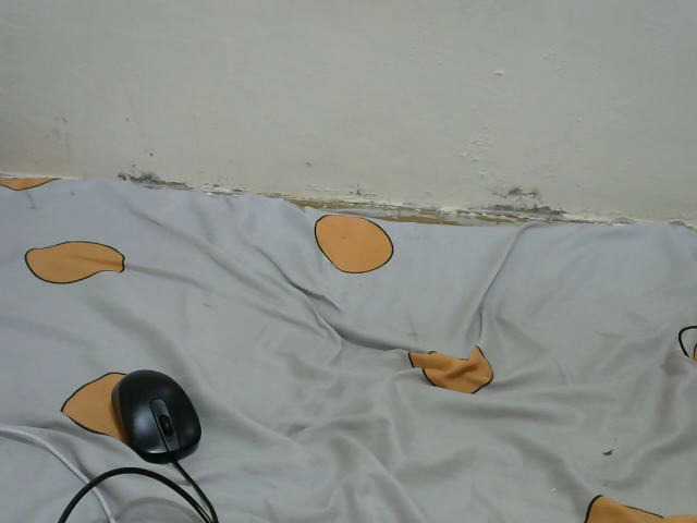 Preview of ciera-queen