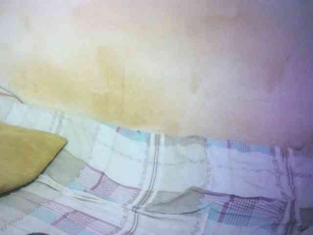 Ciera-queen webcam