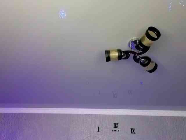 NikaStill webcam