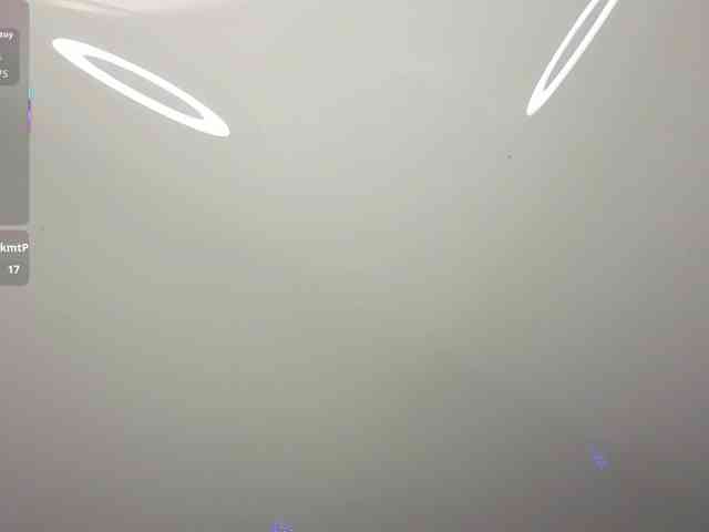 NikaStill webcam