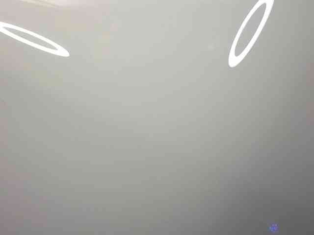 NikaStill webcam
