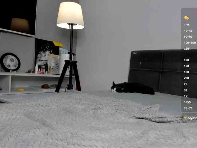 AnitaSeaa webcam