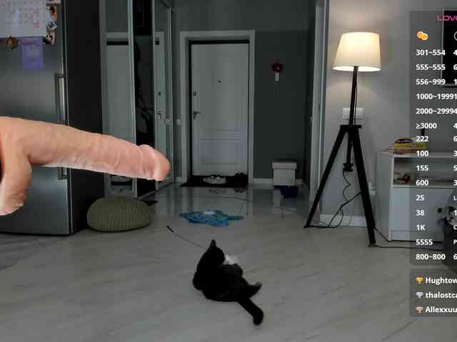 AnitaSeaa webcam