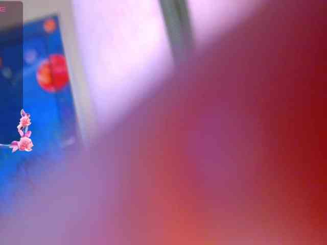 Daddyslittleslutfox webcam