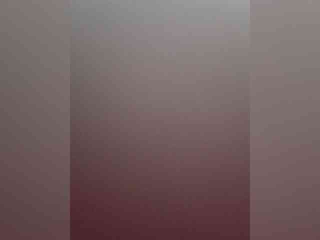 Modes2543 webcam