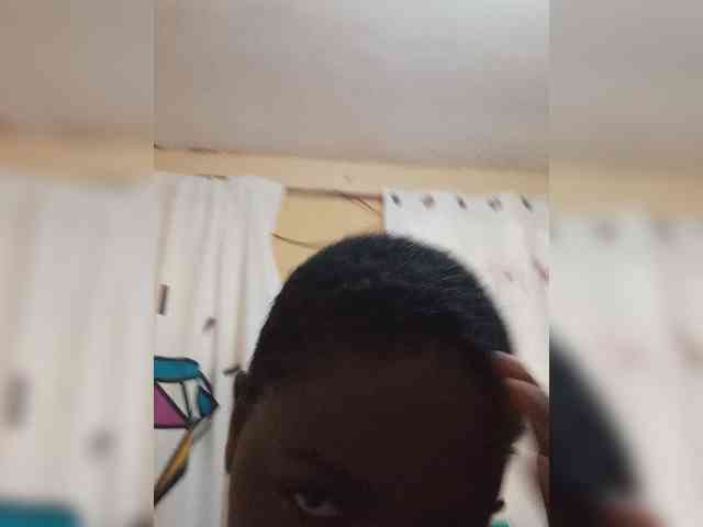 Modes2543 webcam