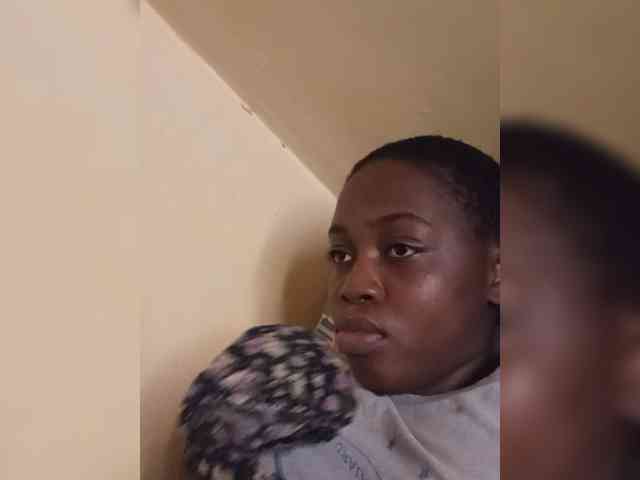 Modes2543 webcam
