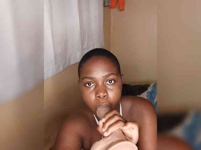 Modes2543 webcam