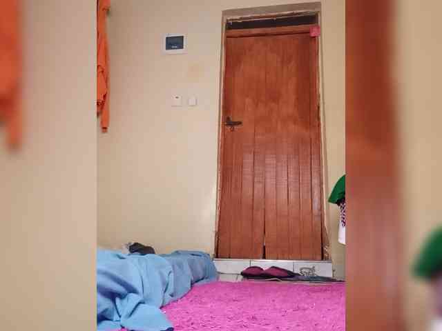 Modes2543 webcam