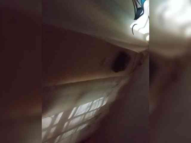 Modes2543 webcam