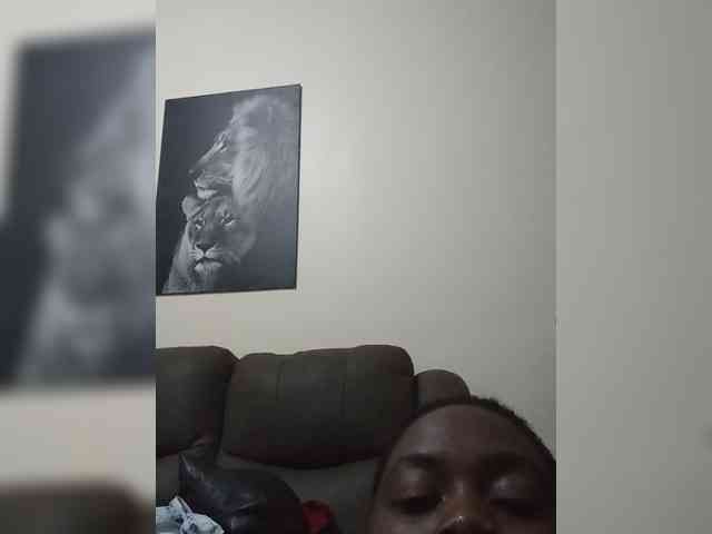 Modes2543 webcam