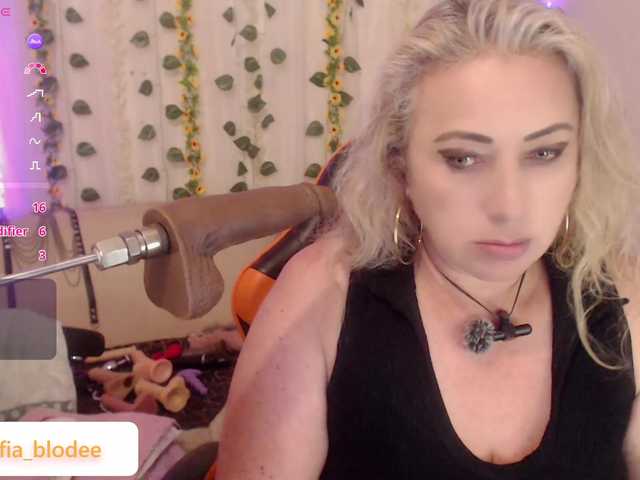 sofiacurvy