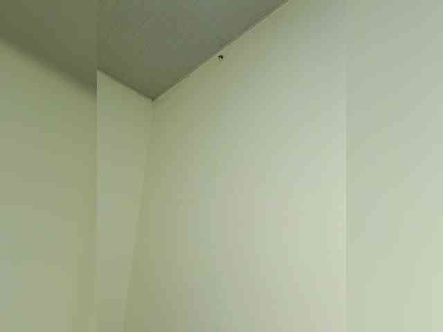 LaraJohnson webcam