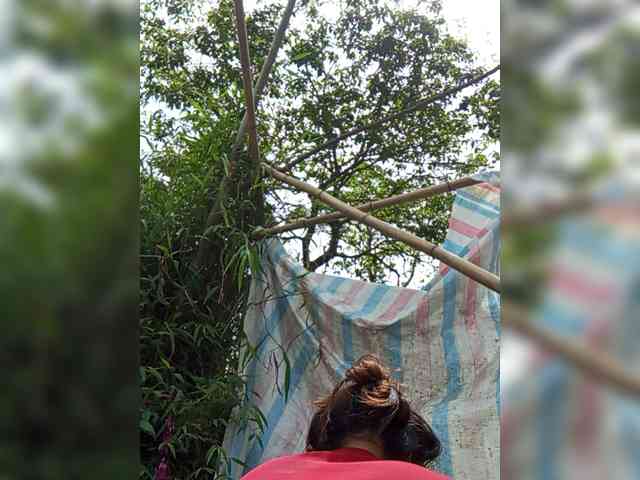 Maytrang