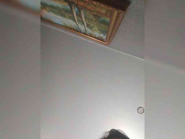 BonuClaid webcam