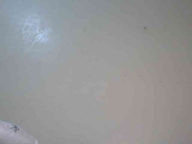 HudaMarie webcam