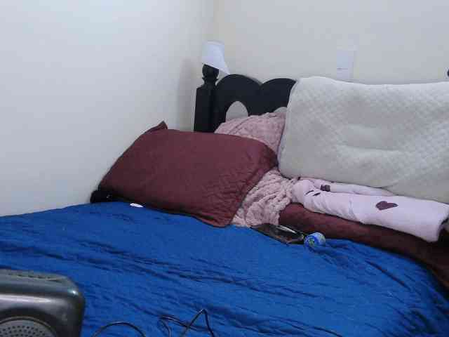 washintonredskins webcam