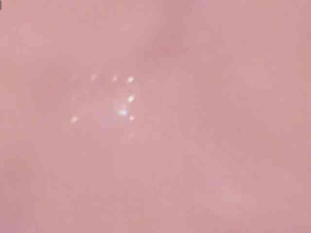Alicenextdoor webcam