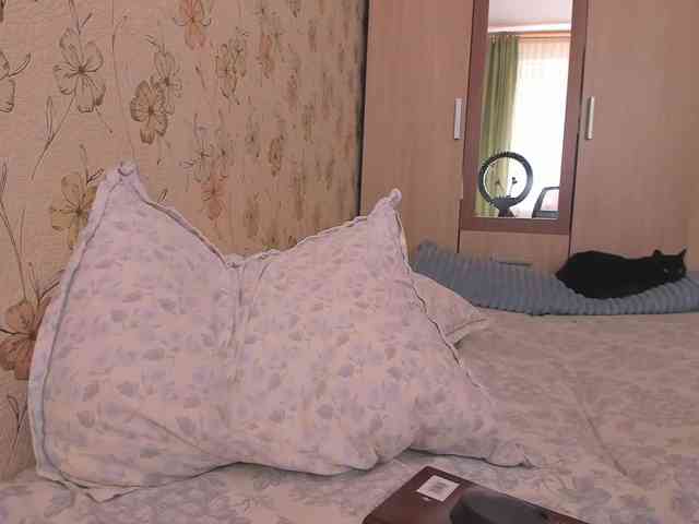 Alicenextdoor webcam