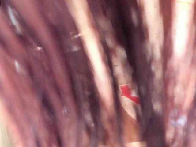 Alicenextdoor Sex Cam Show
