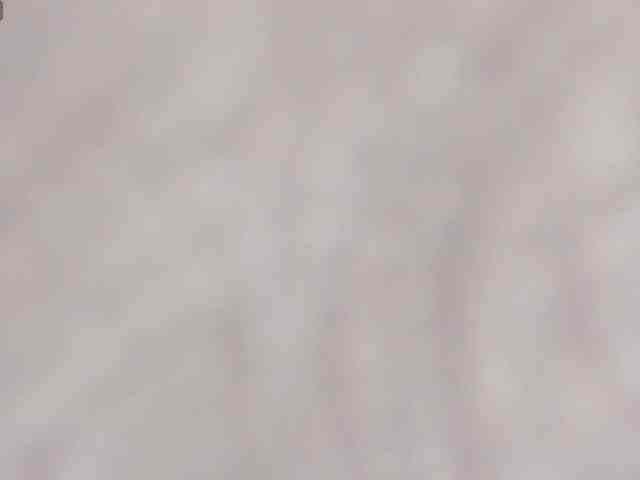 Alicenextdoor webcam