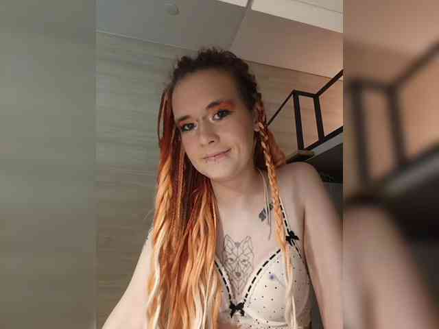 YukiFox webcam
