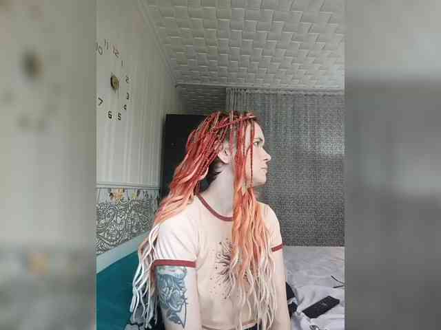 YukiFox webcam