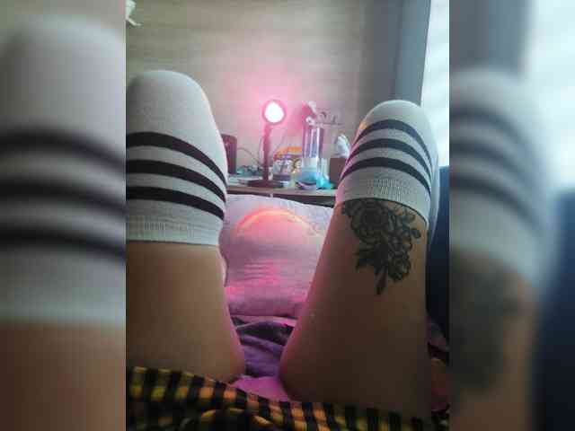 Colombina webcam