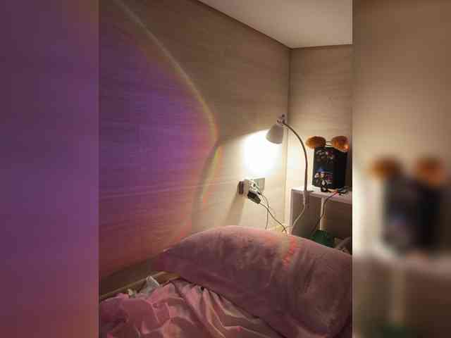 YukiFox webcam